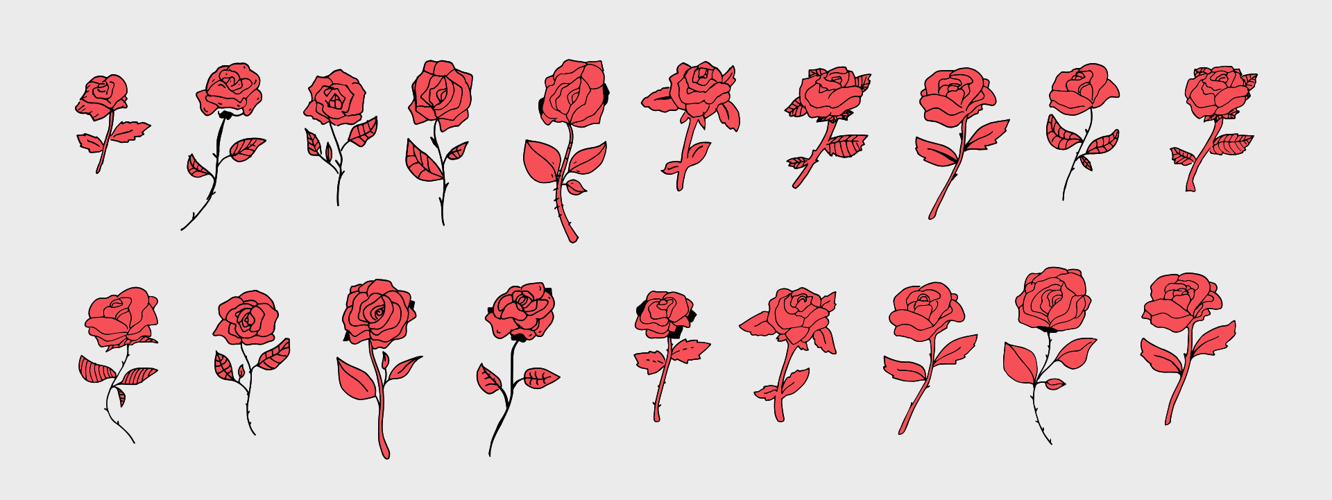 Multiple tattoo-style rose illustrations