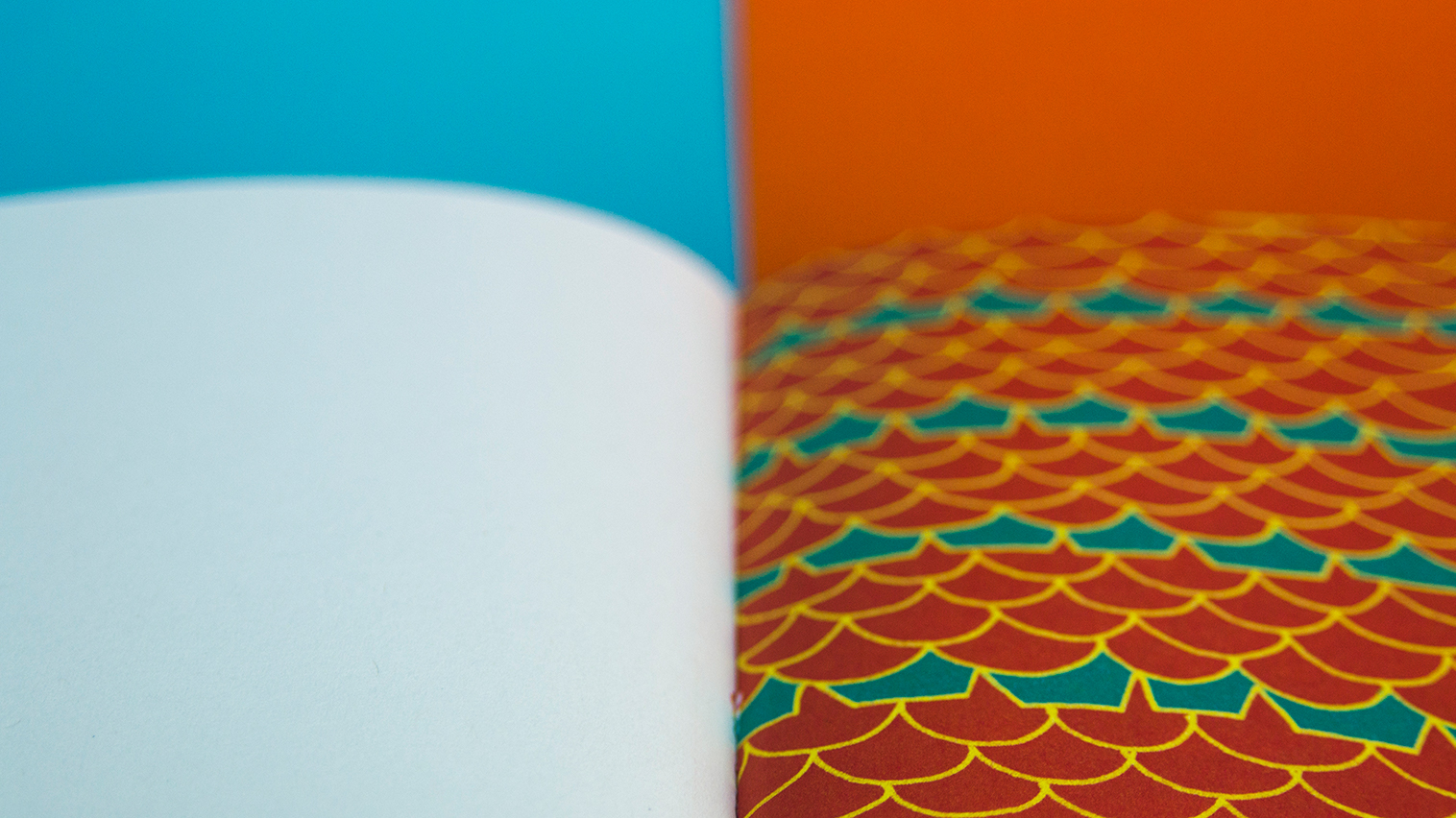 Detail of inside back cover illustration