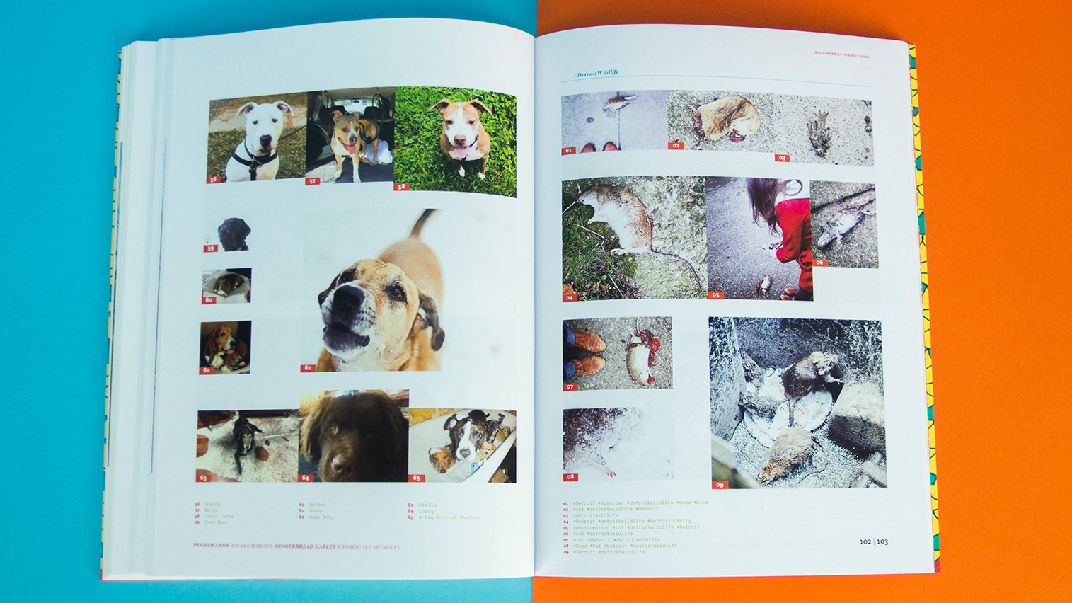 Two page spread of variable image grid