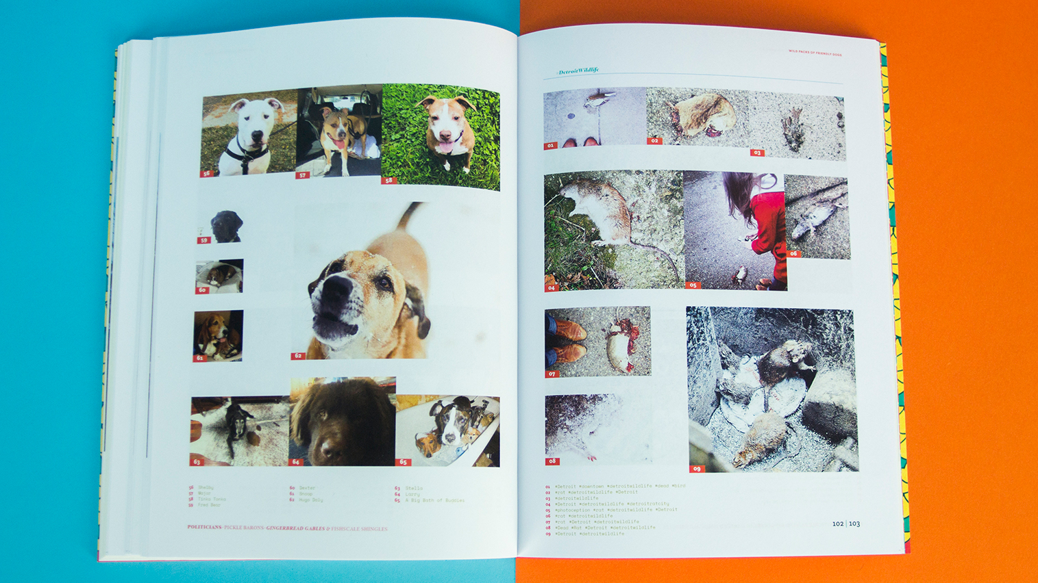 Two page spread of variable image grid